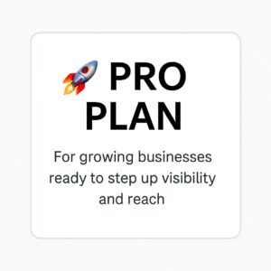 🚀 PRO PLAN (1 Year Subscription)